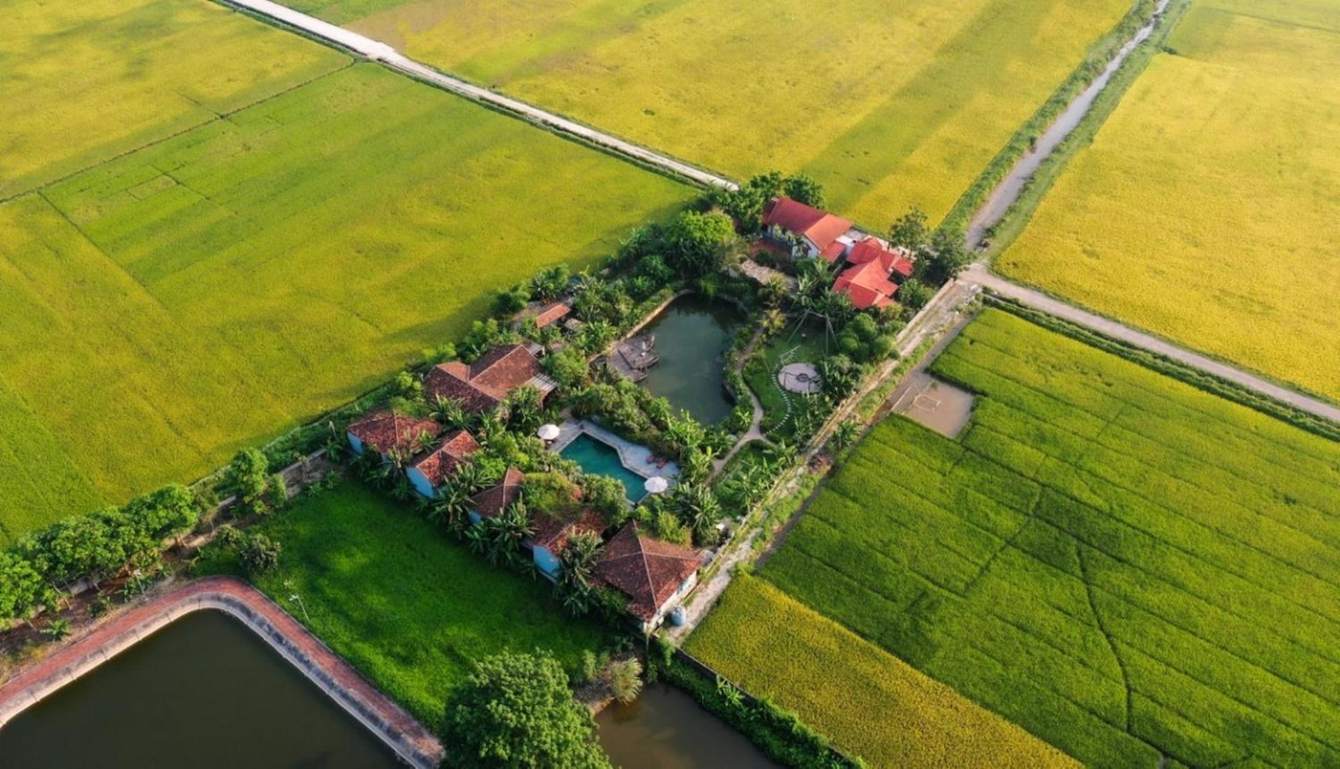 Chezcao Rice Field Ecolodge ニンビン エクステリア 写真